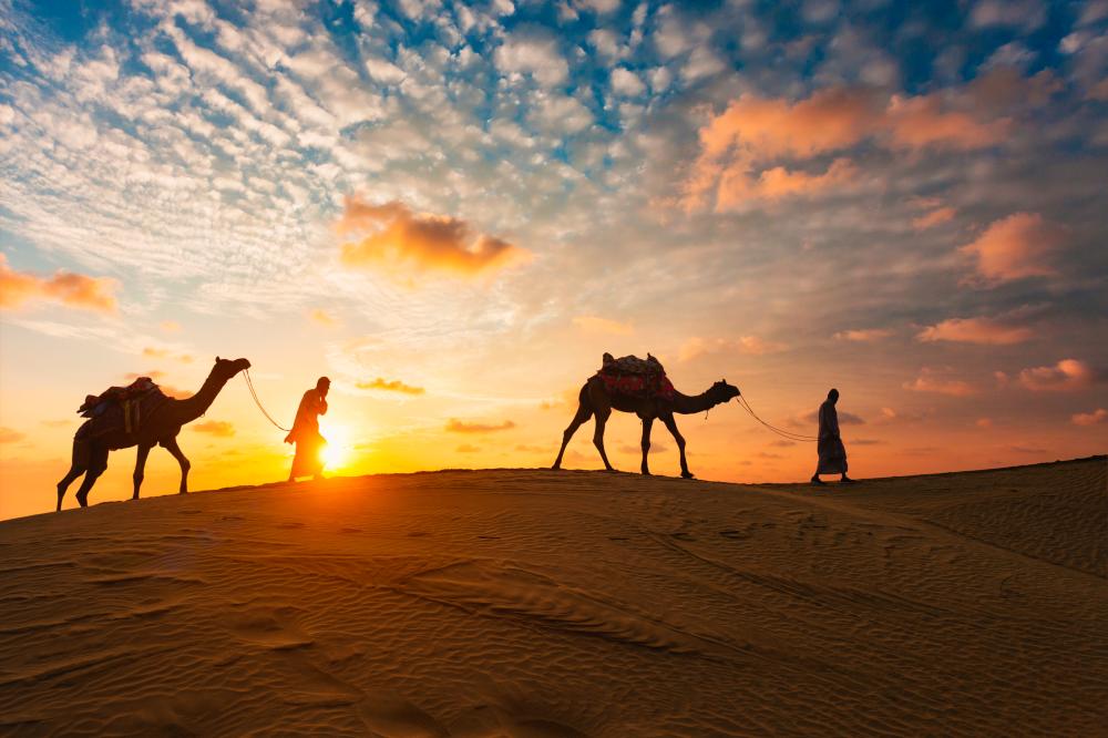 Challenges Faced by Travel Agencies in Rajasthan
