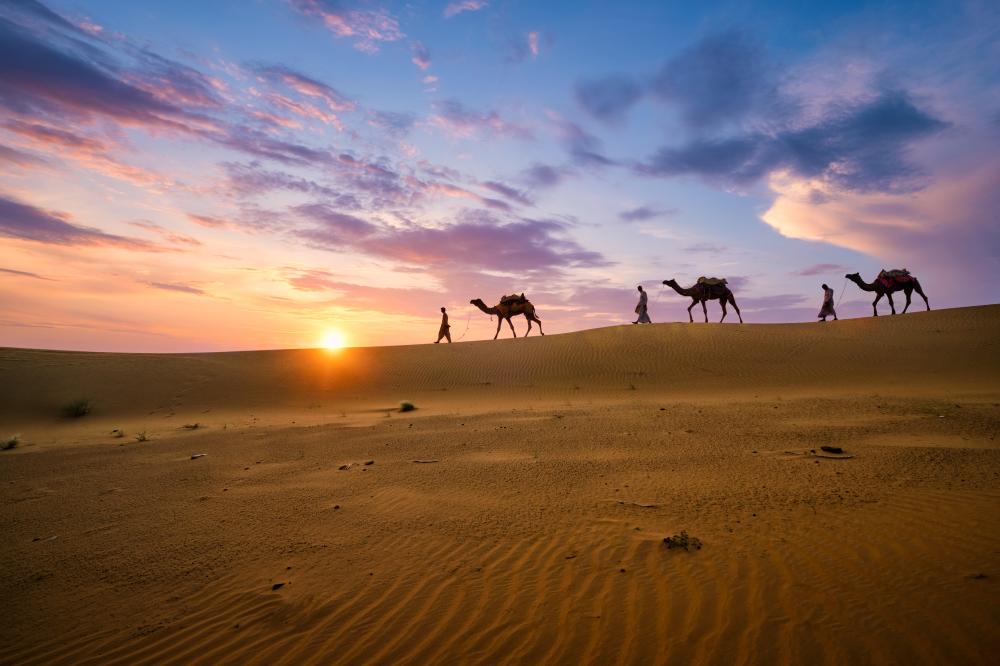What Should Travelers Know About the Geography of Rajasthan?