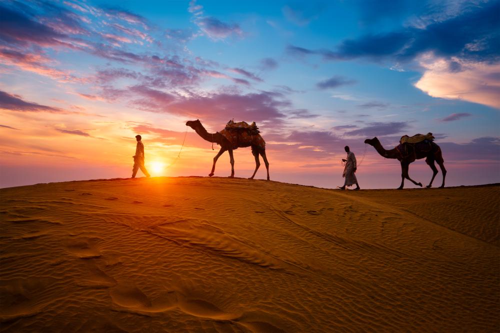 What is the Best Way to Explore Rajasthan?