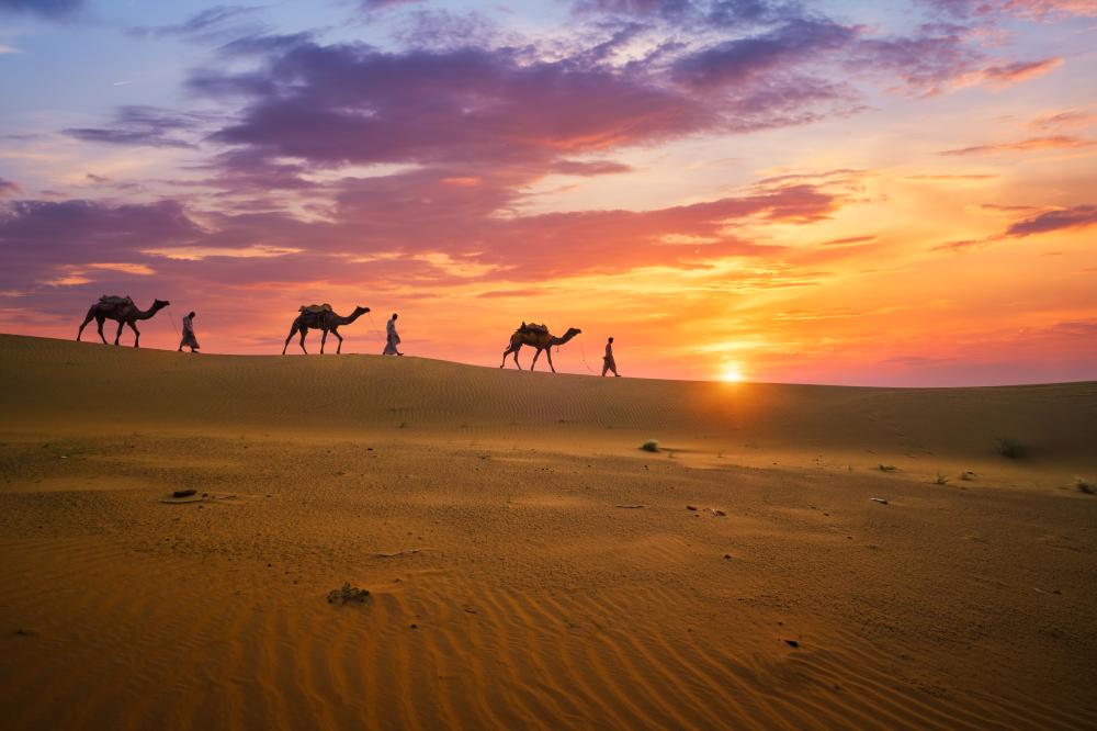 What Makes a Great Rajasthan Travel Agency?