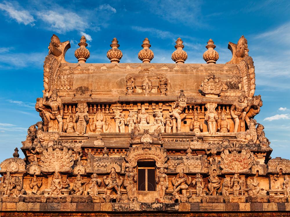 Why Choose Discovery Prime Tours?