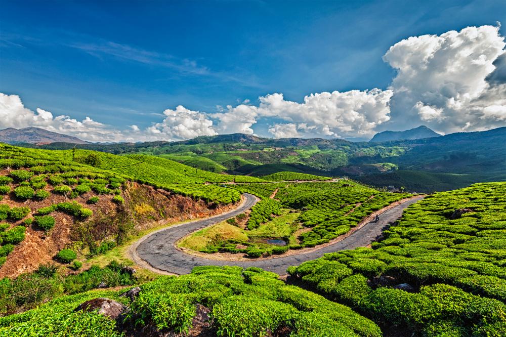 What Makes South India Unique?