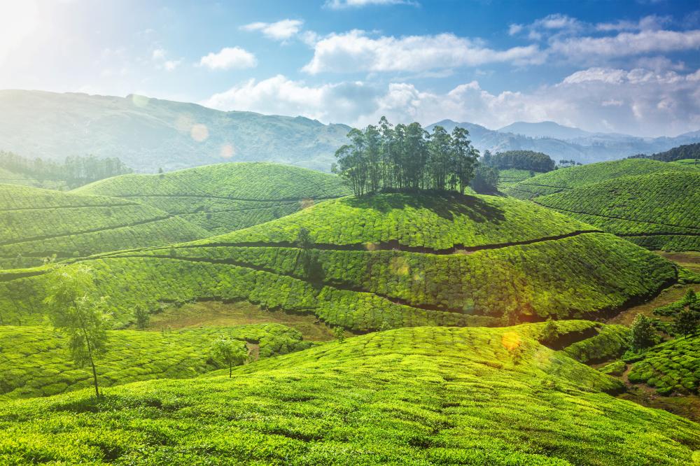 Crafting Customized Travel Experiences