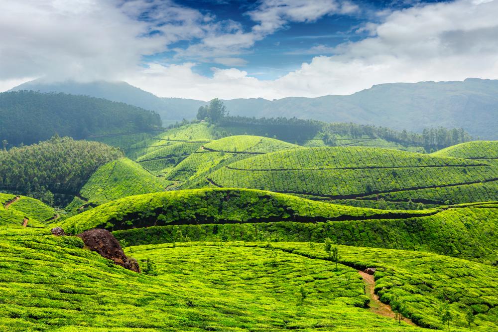 Why Choose Kerala Tour Packages?