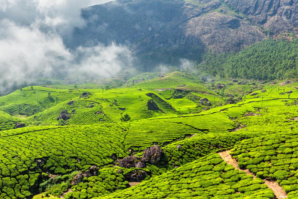 Why Choose Discovery Prime Tours?