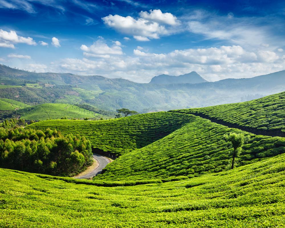 Why Choose Discovery Prime Tours?