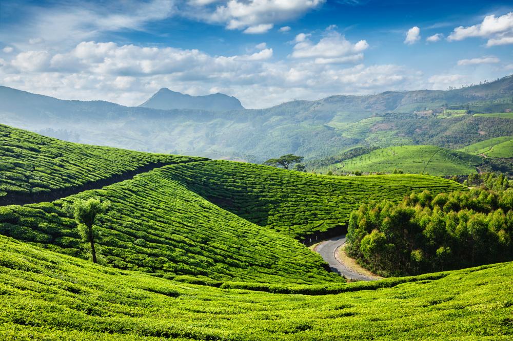Must-See Destinations on a South India Tour