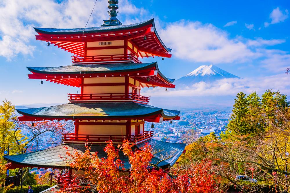 Additional Tips for Budget Travelers