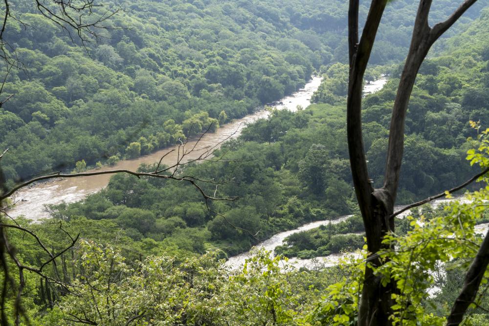 Unique Experiences on the River