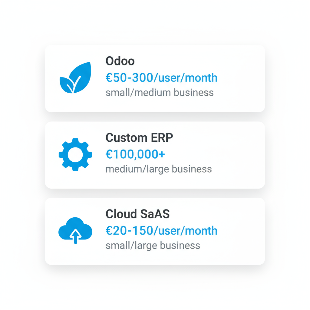 Infographic comparing Odoo, Custom ERP, and Cloud SaaS for businesses in Valencia, showing icons, typical costs, and recommended business sizes.