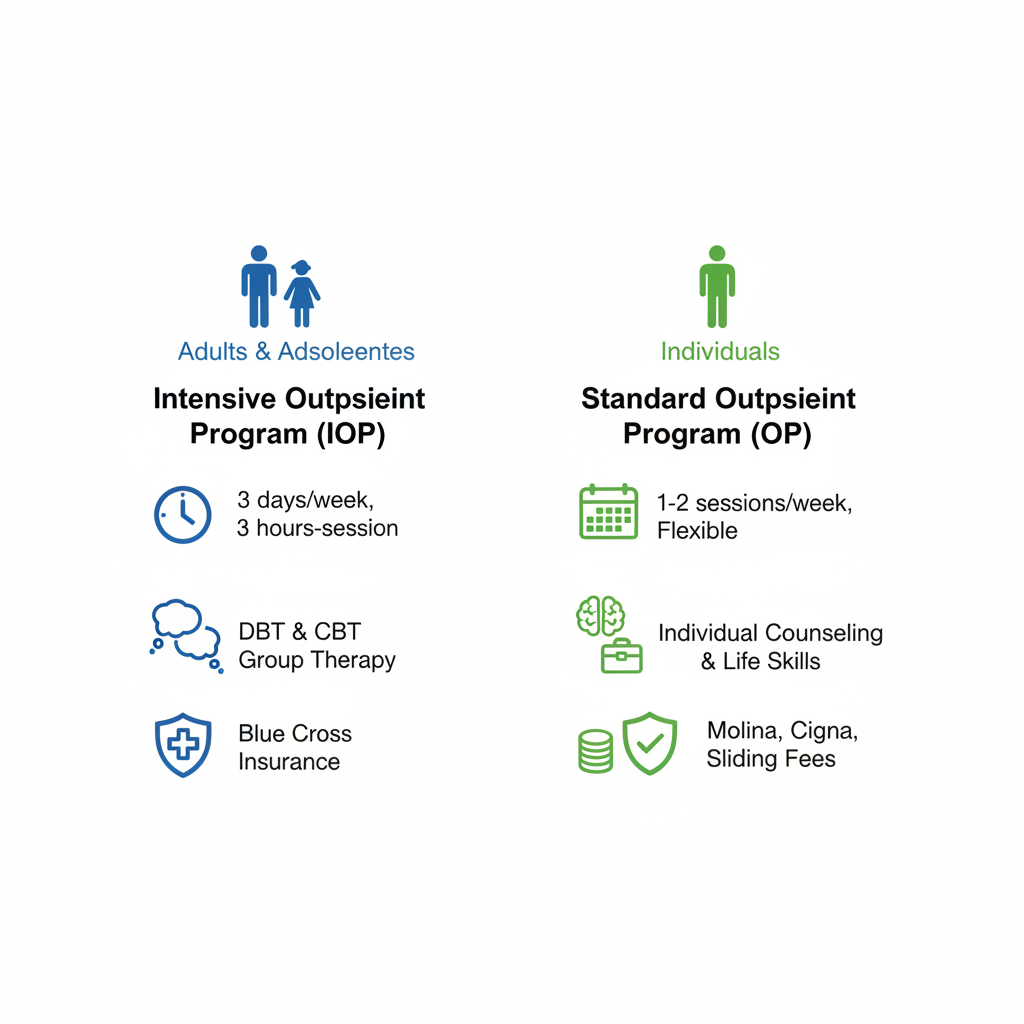 Infographic comparing Intensive Outpatient Program and Standard Outpatient Program details for Boise mental health services