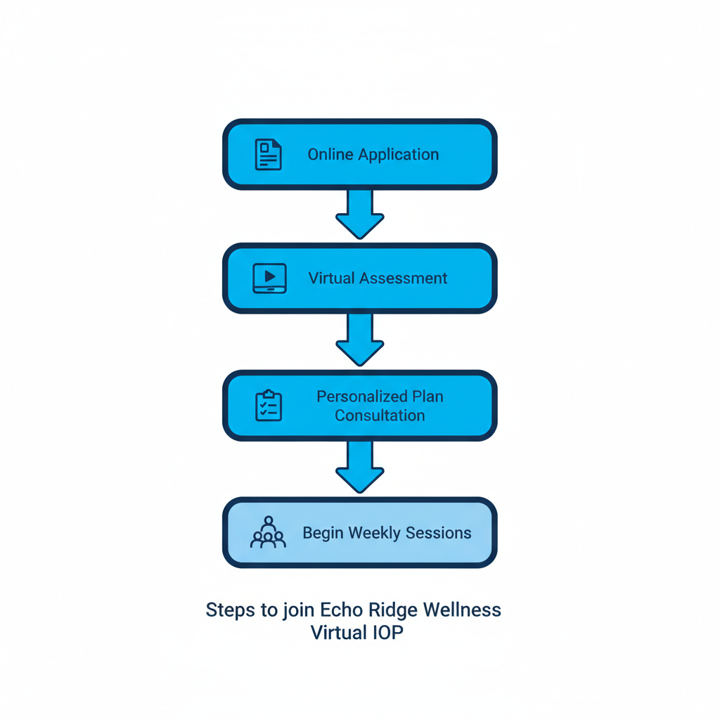 Vertical process flow diagram showing four steps to join the virtual intensive outpatient program: online application, virtual assessment, personalized consultation, and starting sessions, with relevant icons and blue color scheme.