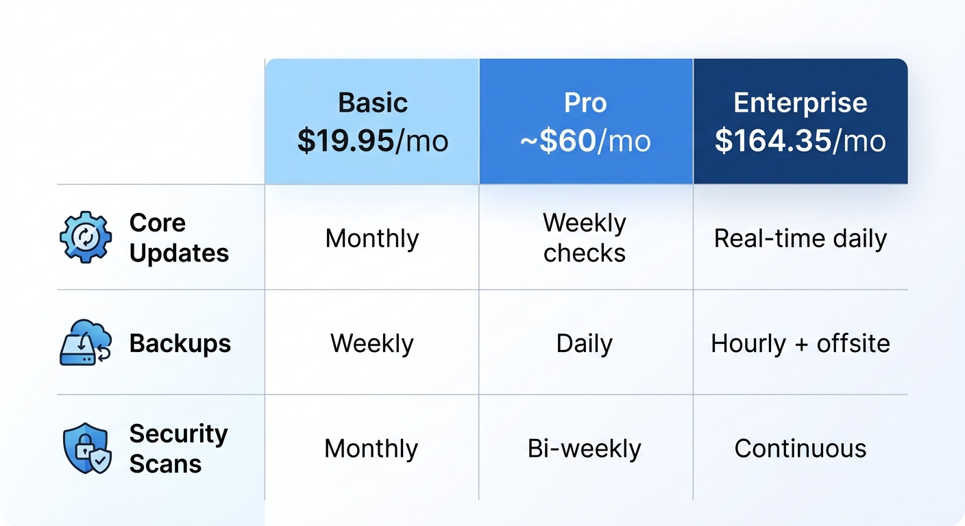 Comparison of WordPress maintenance plans and support levels