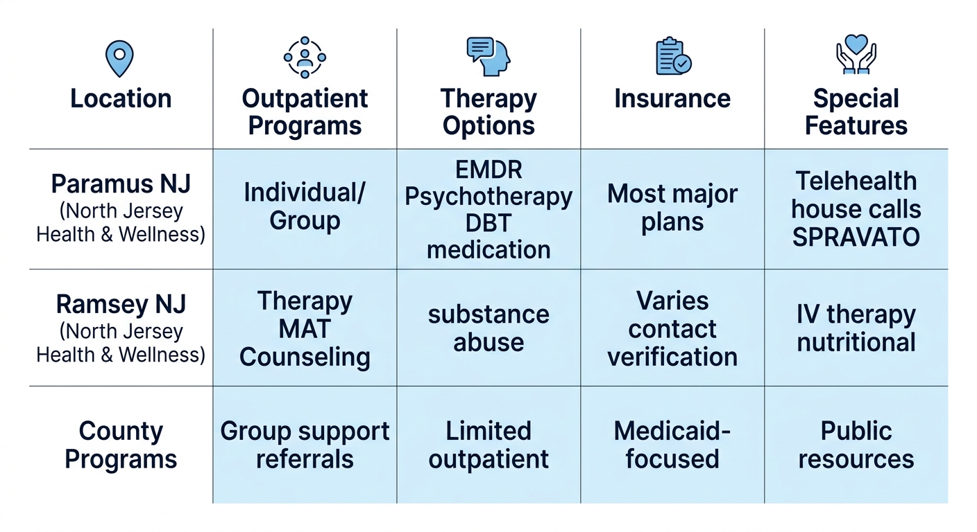 Comparison infographic of mental health services in Bergen County: Paramus, Ramsey North Jersey Health & Wellness, and county programs detailing outpatient, therapy, insurance, and features.