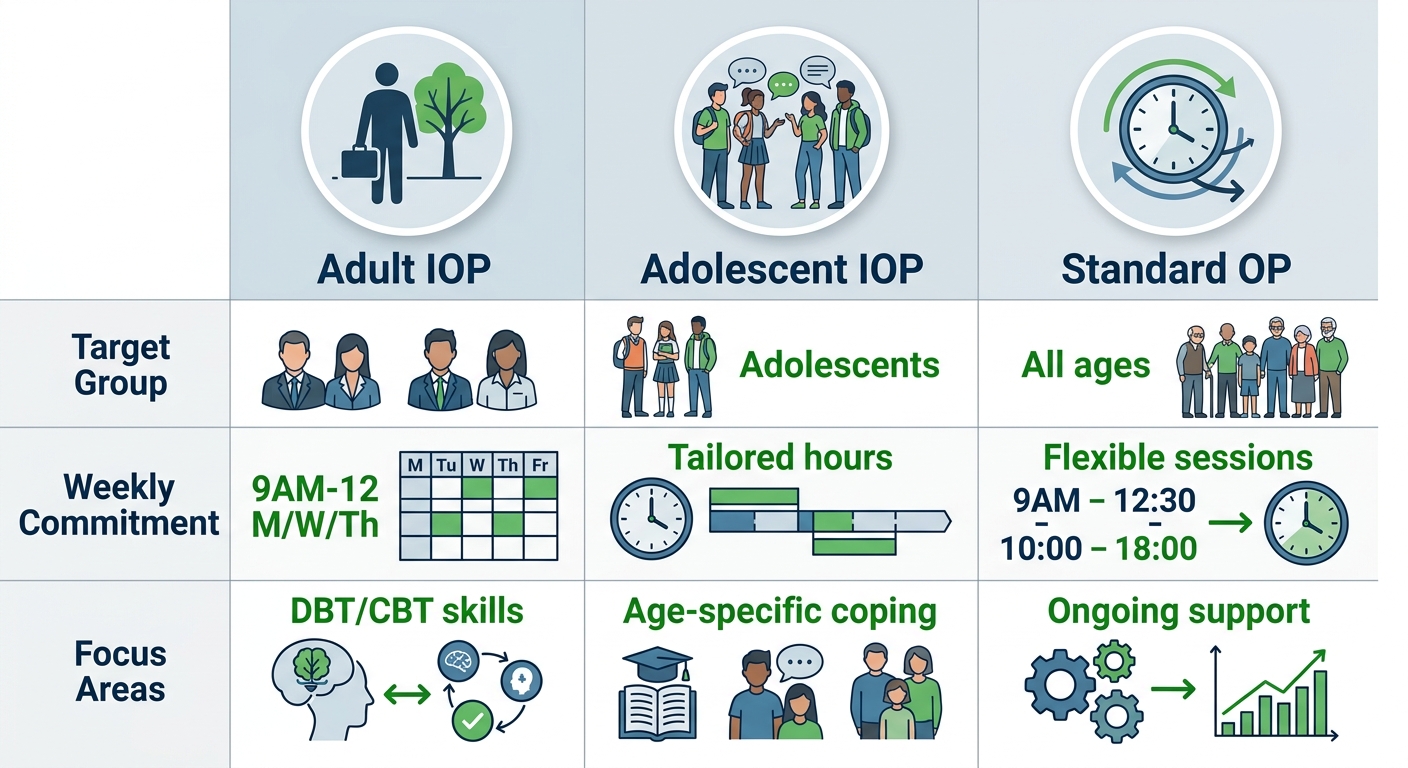 Infographic comparing key features of Adult IOP, Adolescent IOP, and Standard OP mental health programs in Boise, including target groups, commitments, and focus areas.