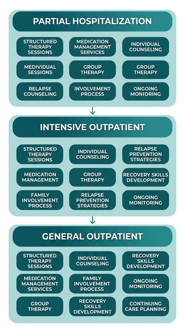 Vertical three-tier process flow showing continuum of care from PHP to IOP to OP