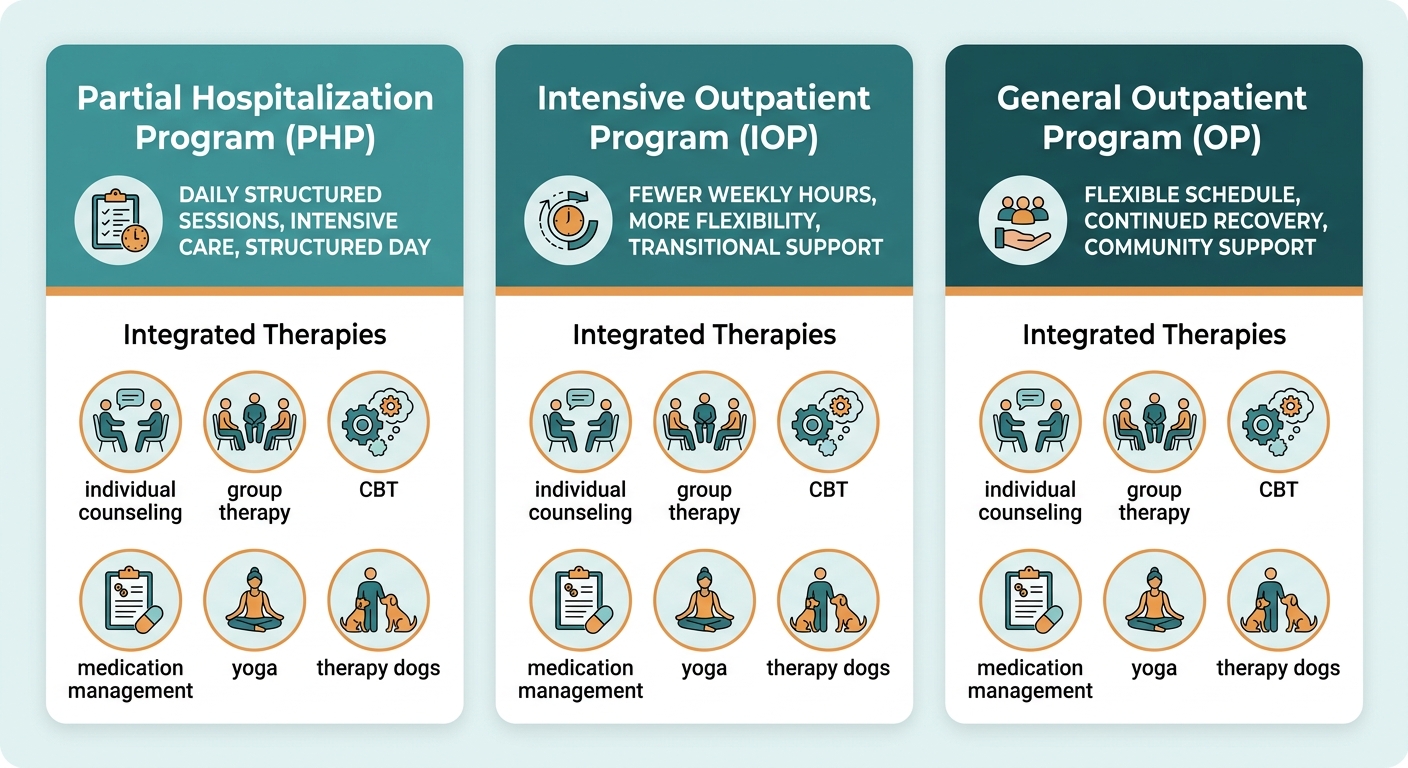 Infographic comparing three levels of addiction and mental health treatment care: PHP, IOP, and OP, with integrated therapy icons.