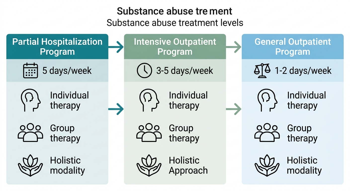 Three-column infographic comparing substance abuse treatment program levels - Partial Hospitalization, Intensive Outpatient, and General Outpatient - with icons and step-down arrows.