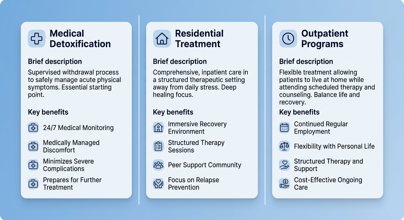 Three-column infographic comparing medical detoxification, residential treatment, and outpatient programs for alcohol rehab, with icons and key benefits on a soft blue gradient background.