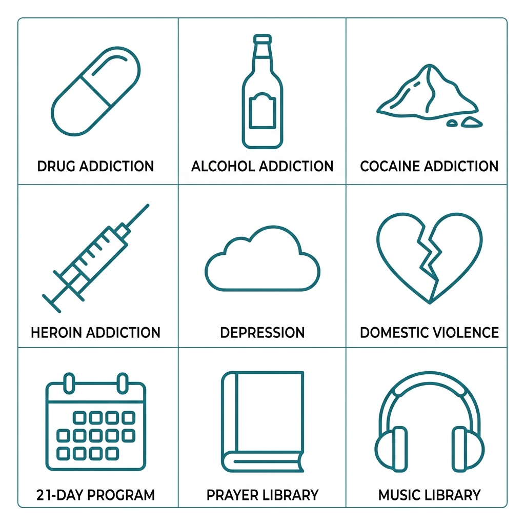 Grid of nine teal outline icons representing addiction types and support resources, including drug, alcohol, cocaine, heroin, depression, domestic violence, 21-day program, prayer library, and music library, each with labels.