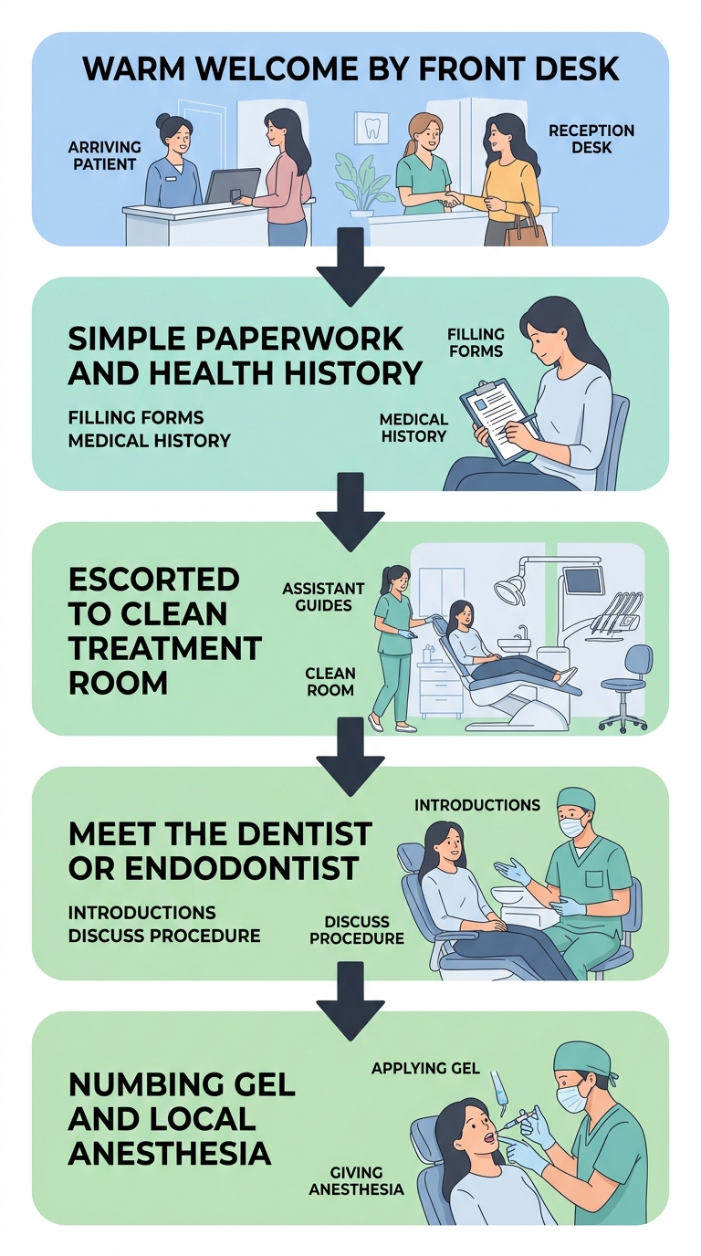 Root canal appointment process showing 5 steps from welcome to numbing gel