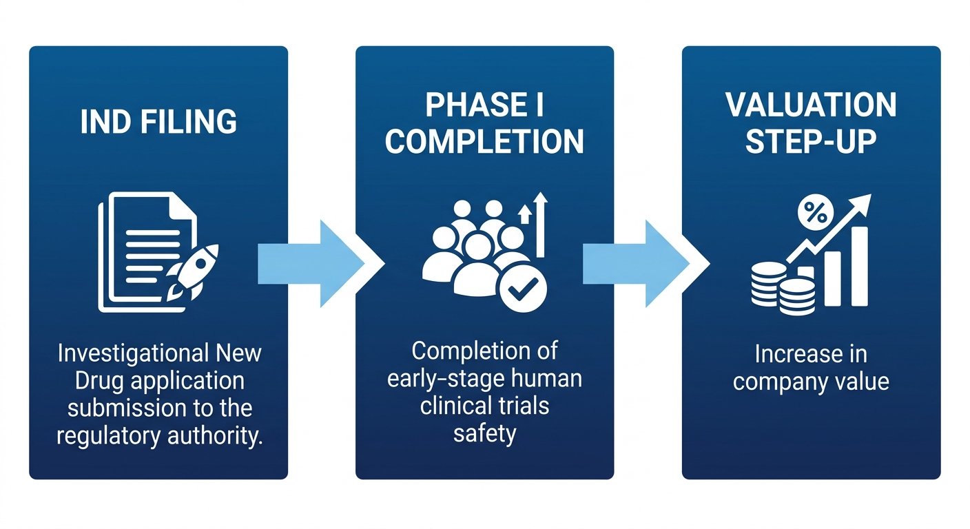 Three-stage process flow connecting clinical milestones to capital infusions