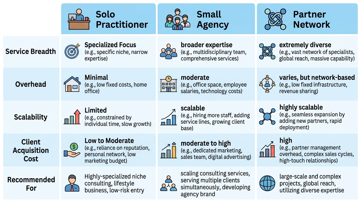 Infographic: Solo Practitioner, Small Agency, Partner Network in light blue and white