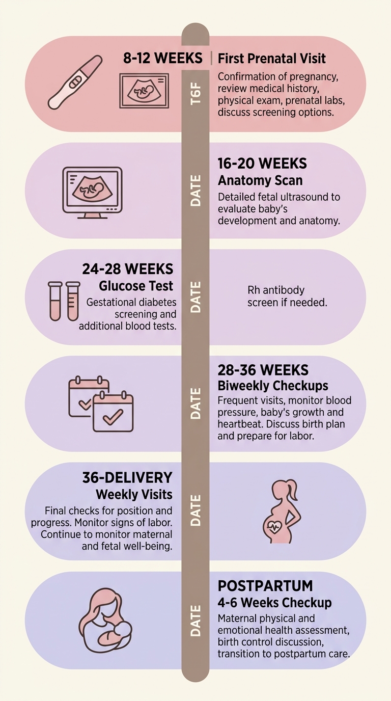 Prenatal care timeline from first trimester through postpartum with key medical milestones