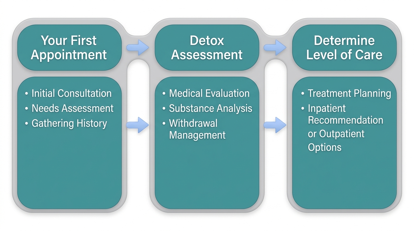 Recovery journey process flow with three stages: first appointment, detox assessment, and level of care determination