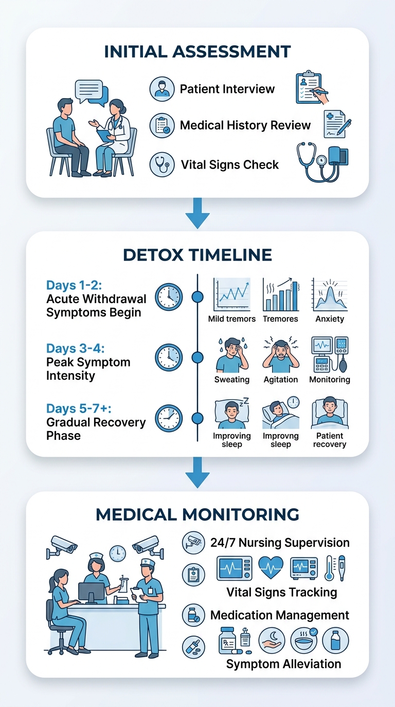 Vertical process flow diagram illustrating the alcohol detoxification process in three steps: initial assessment, detox timeline, and medical monitoring with withdrawal management.